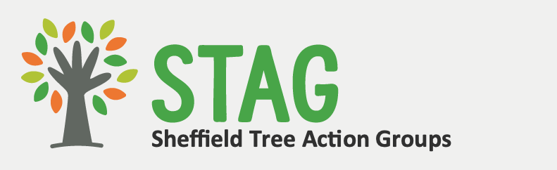 STAG Newsletter #2 6/10/25