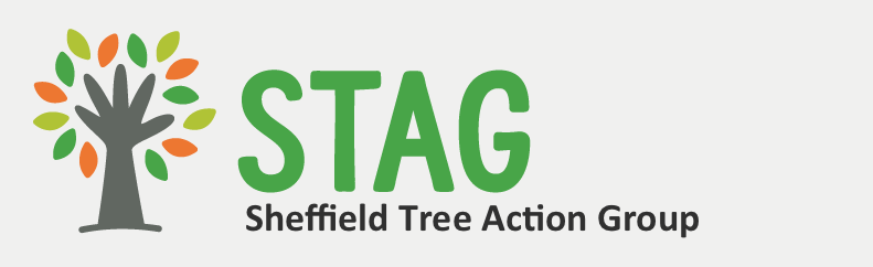 STAG Newsletter #3 8/11/25